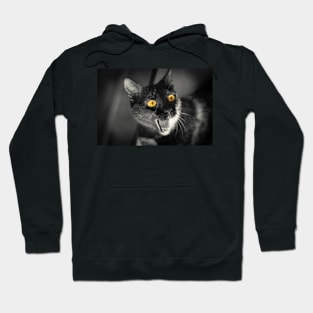 black cat Hoodie